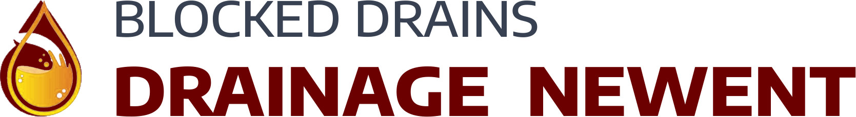 website logo